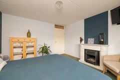 Vrouwenmantel 81  Schoonhoven 037.jpg